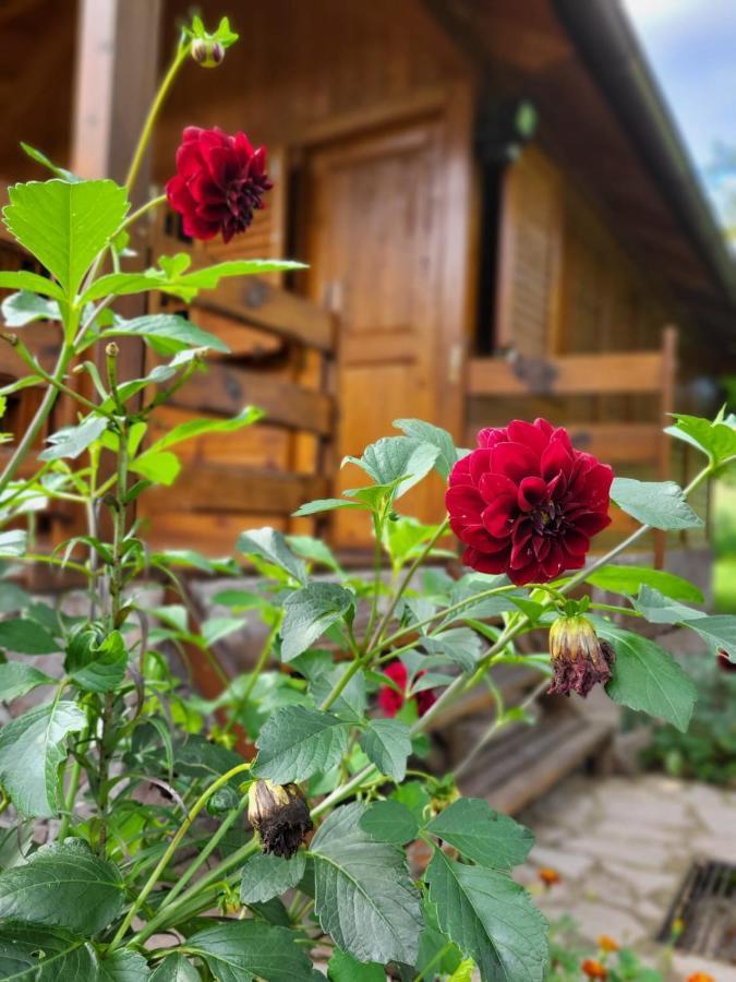 Rest House Ripac Prascijak Eksteriør bilde